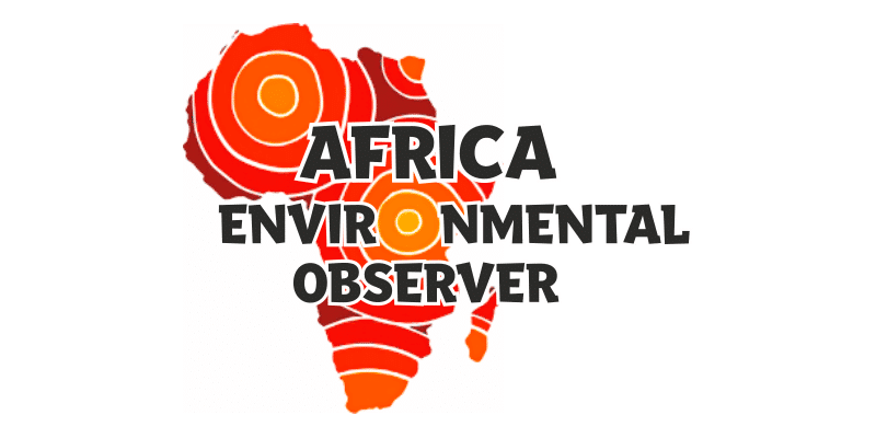 07_3407266-africa-environmental-observer-logo-659x506c1